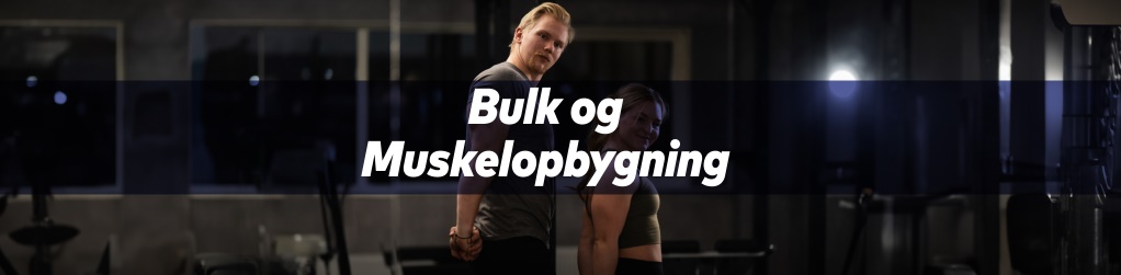 Bulk & Muskelopbygning